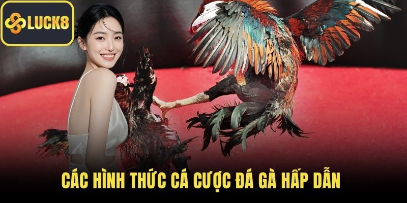 Các hình thức cá cược đá gà hấp dẫn