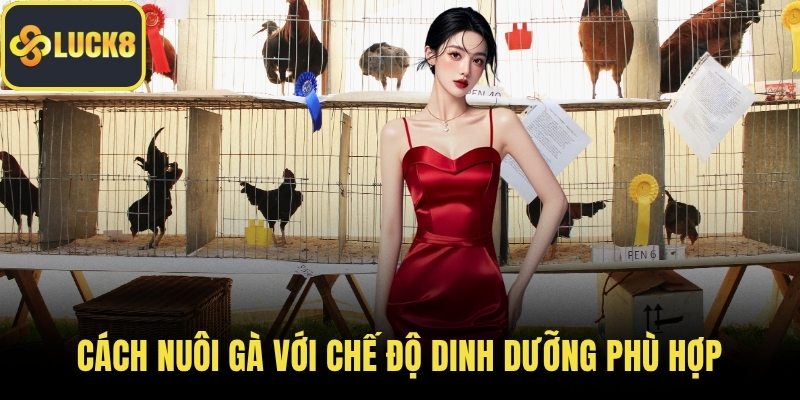 Cách nuôi gà với chế độ dinh dưỡng phù hợp