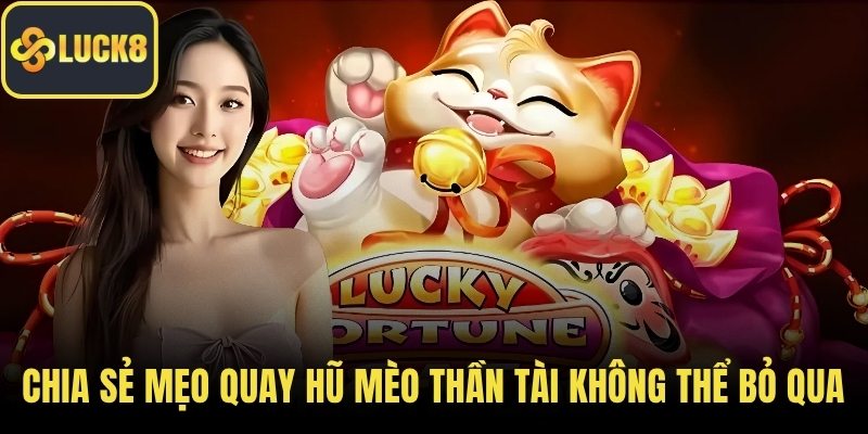 Chia sẻ mẹo quay hũ mèo thần tài không thể bỏ qua