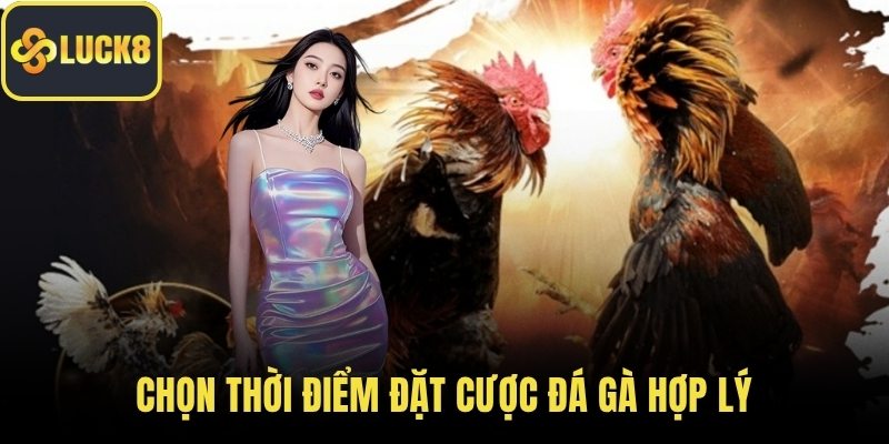 Chọn thời điểm đặt cược đá gà hợp lý