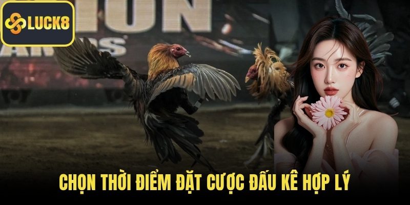 Chọn thời điểm đặt cược đấu kê hợp lý