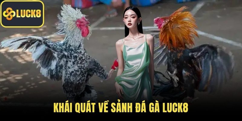 Khái quát về sảnh đá gà LUCK8