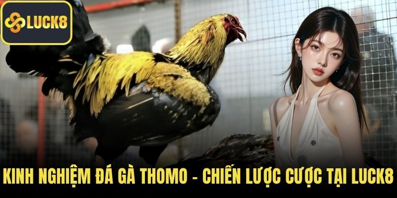 Kinh nghiệm đá gà thomo