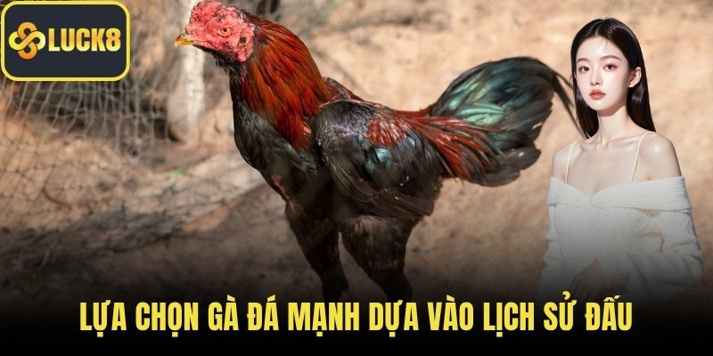 Lựa chọn gà đá mạnh dựa vào lịch sử đấu
