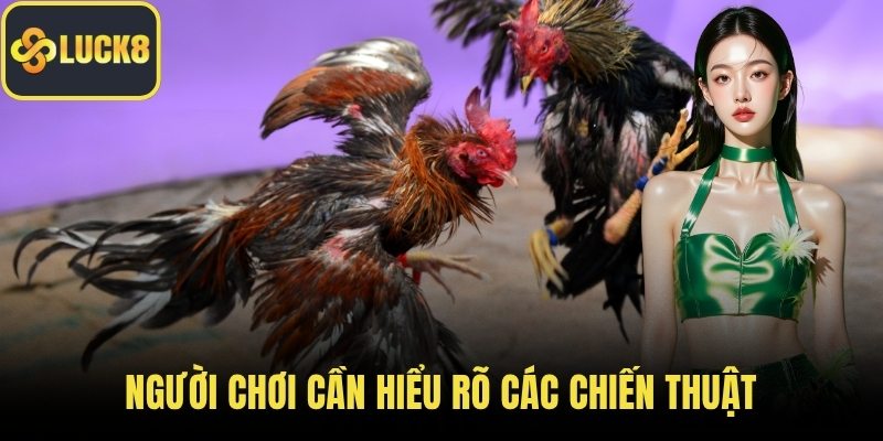Người chơi cần hiểu rõ các chiến thuật