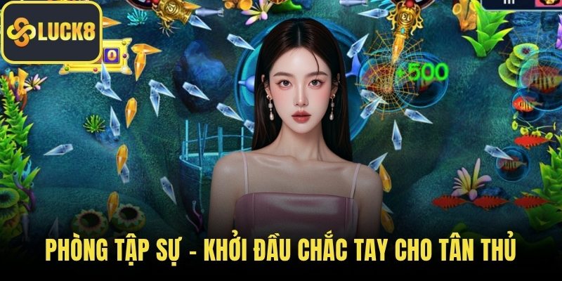 Phòng tập sự - Khởi đầu chắc tay cho tân thủ