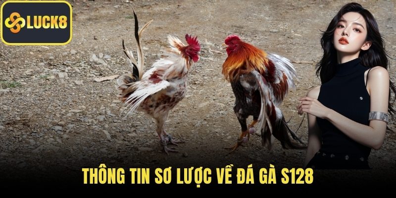 Thông tin sơ lược về đá gà S128