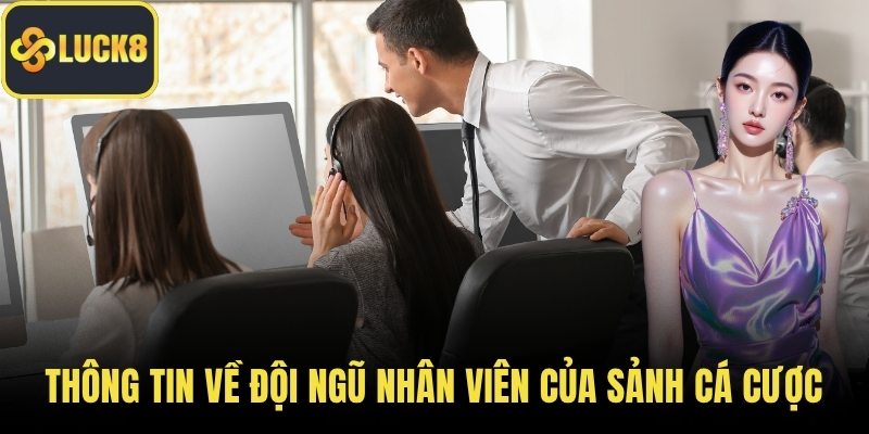 Thông tin về đội ngũ nhân viên của sảnh cá cược