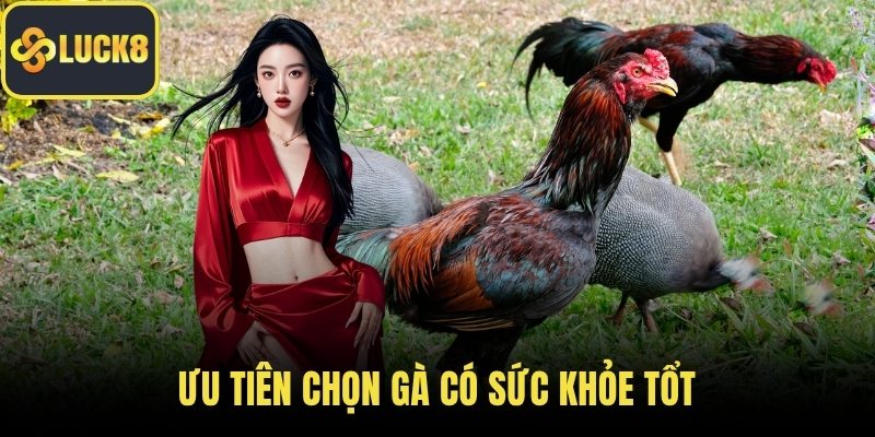 Ưu tiên chọn gà có sức khỏe tổt